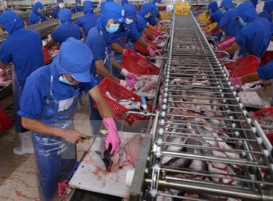 Agriculture sector fulfills targets set by government