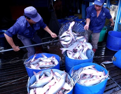 Agro-forestry-fishery exports rise 9.3 percent in nine months