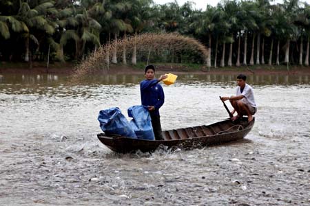 An Giang province: Pangasius farming under international standards