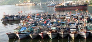 An Giang: Seafood exports in Sep 2013 hit US$311 million