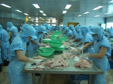 Seafood exports up 34% in January 2013