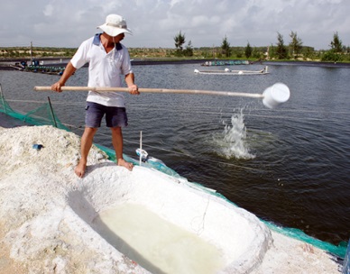 Shrimp farming area narrowed 