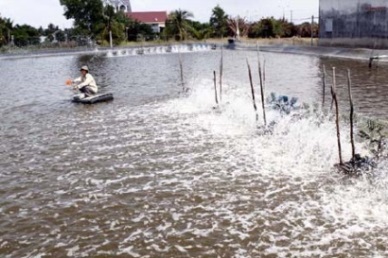 Can Tho, Australia to stimulate trade, agriculture