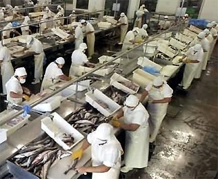 Growth in exported seafood volume continues