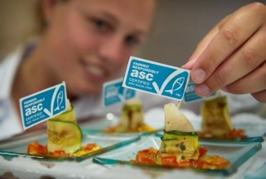 ASC prepares for shrimp, other farmed standards after commitment from salmon industry