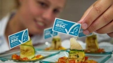 Certified pangasius is still a good option, ASC assures