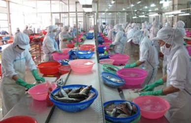 Vietnam seafood exports are extended to ASEAN 