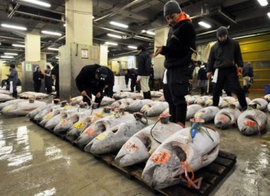 Japan to abolish tariffs on Australian tuna, oranges in stages