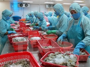 Vietnam strives to implement WTO’s commitments