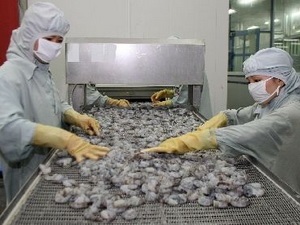 Prospects for Vietnam’s export of frozen raw shrimps to Australia