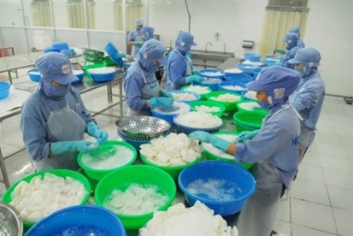 Seafood exports set to top 7 billion USD this year