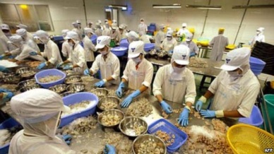 Shrimp exports to EU surge in 2014 