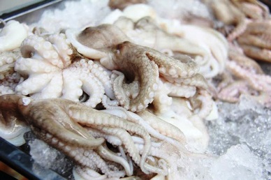 Vietnam frozen octopus has a price advantage in Korea