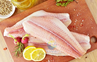 Navico to kick off construction at collagen, gelatin plant in August