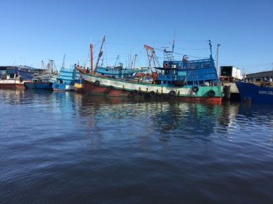 Bac Lieu: Production of aquaculture and capture output reached over 26,770 tons