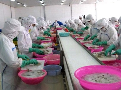 Vietnam cephalopod sales to Thailand up slightly 