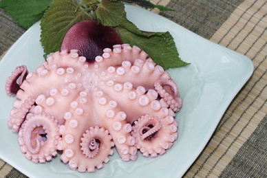 Octopus exports to  Korea and EU grow