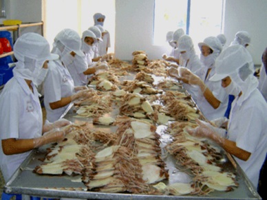 Cephalopod exports to the US surge in September  