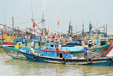 Bac Lieu: Fishing diary for marine fish exported to EU