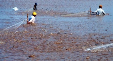 Bac Lieu implementing sustainable measures in shrimp farming