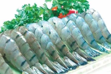 Seafood exports to Egypt surpasses US$ 57 million