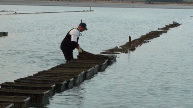 GSSI chooses BAP for pilot program