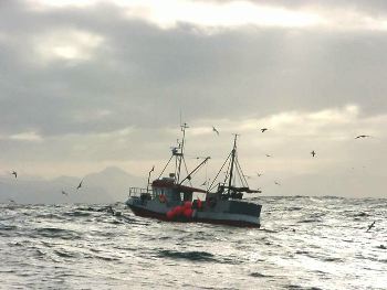 Scientists recommend 25 pc rise for Barents Sea cod quota 