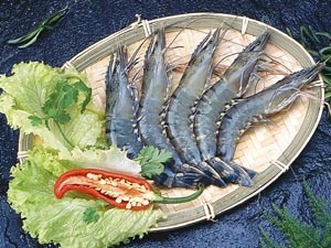 Vietnam shrimp exporters move against U.S extra duties