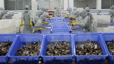 AusCham seeks investment opportunities in Hau Giang