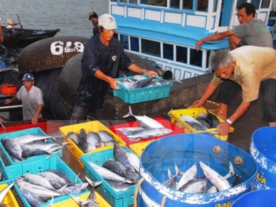 Binh Dinh strives for sustainable fisheries development