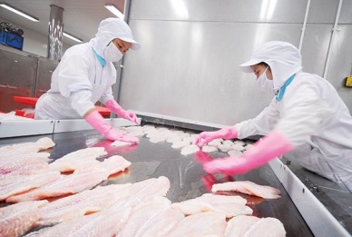 The euro troubles seafood exporters