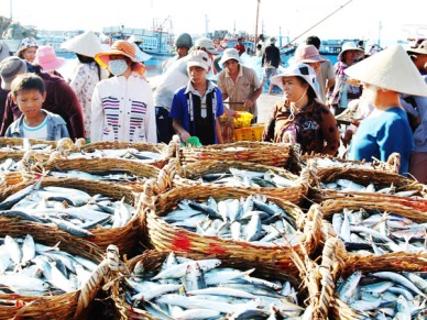 Quang Ngai: Fishery production rose by 8% in 2016