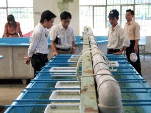 Aquaseed centers to be established in the Mekong Delta