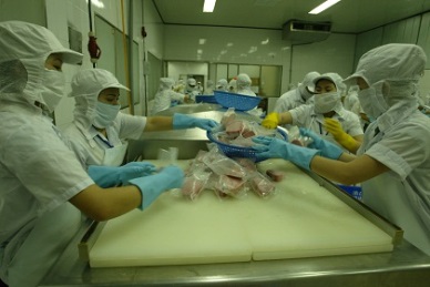 European buyers sourced 70 percent of tuna export value of Bidifisco
