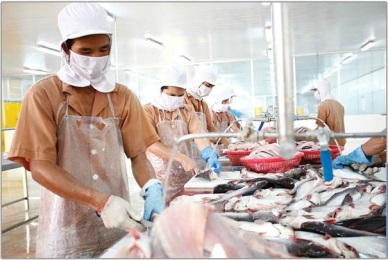 Bilofish: 80 percent of pangasius sent to Middle East
