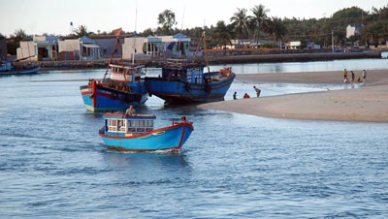 Binh Dinh to lure investments in tuna projects