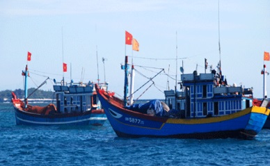 Binh Dinh developing more high-capacity fishing vessels