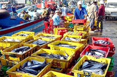 Binh Thuan: Capture output reached over 173,131 MT