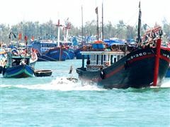 Binh Dinh to build coastal information station