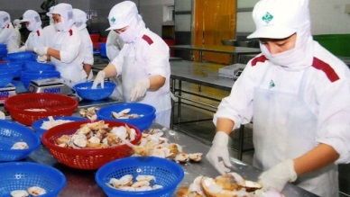 Bivalve exports increase by 4%