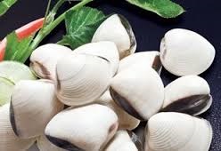 Vietnam seeking to boost its mollusk exports