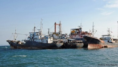 VASEP comments on U.S. Presidential Task Force on Combating IUU Fishing...