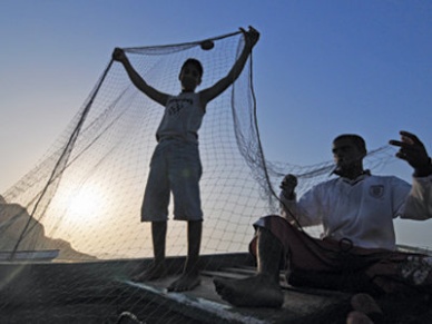 Brazil: Aquaculture technology transfer from Israel to be promoted 