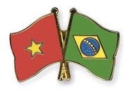 Vietnam, Brazil forge cooperation in agriculture