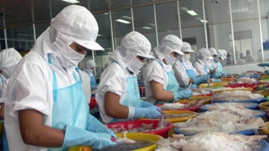 Vietnam cephalopod exports to Australia went up 