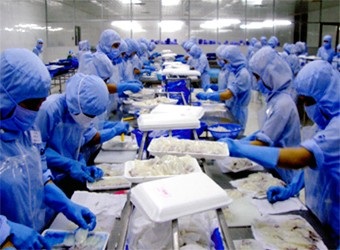 Cephalopod exports to the U.S. fell sharply