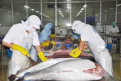 Up 25% in Vietnam tuna exports to the EU 