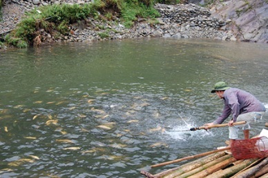 Russia supports Vietnam with trout farming