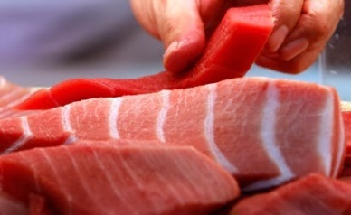 Japanese tuna imports rose 