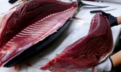 Vietnam tuna exports to Mexico flourished 
